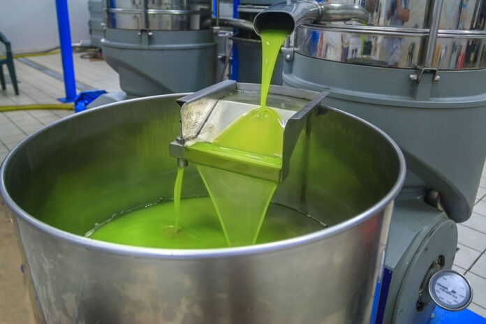 Olive Oil Extraction